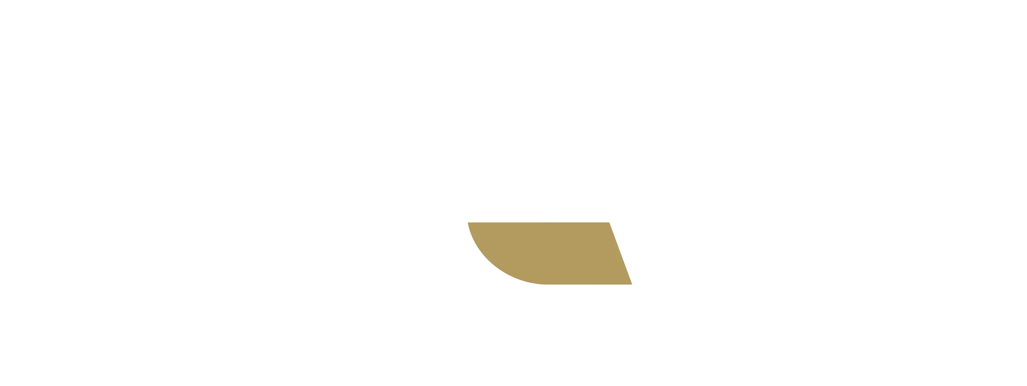 Partner 5