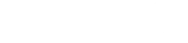 Partner 8