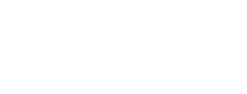 Partner 9