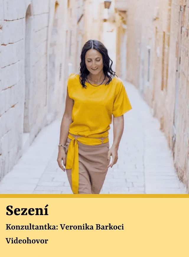 Sezení – konzultace