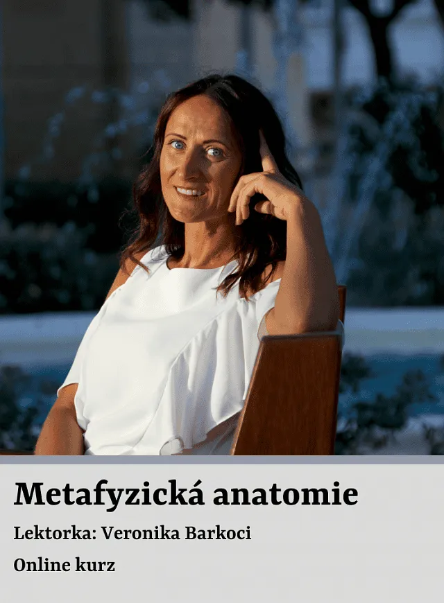 Kurz Metafyzické anatomie